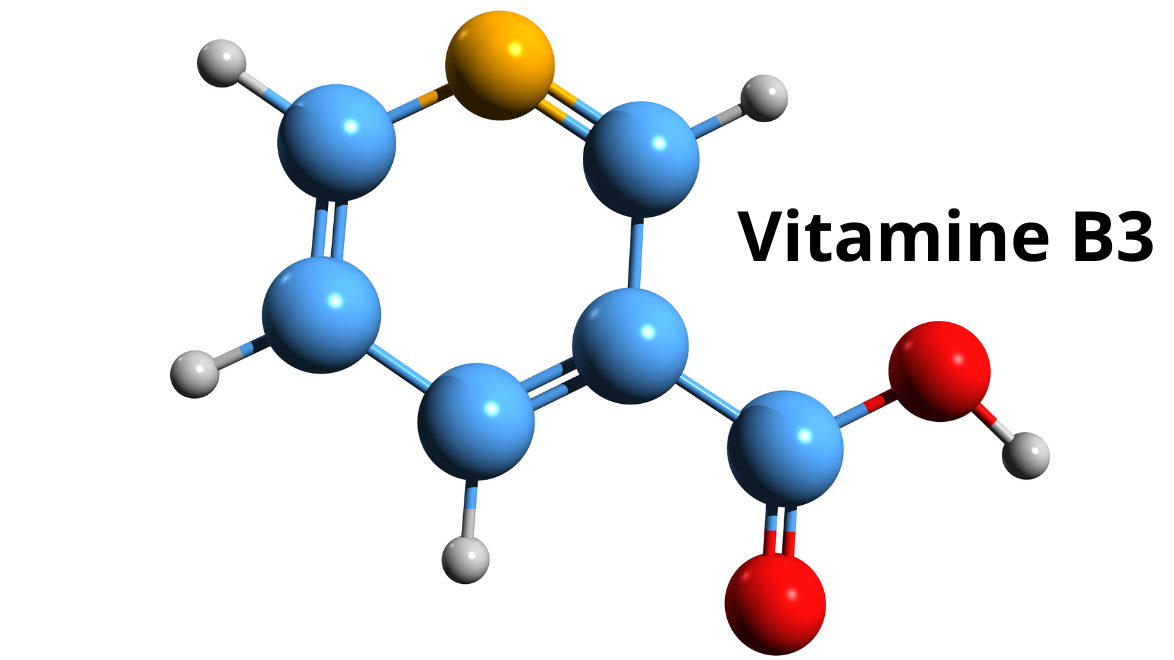 Les betaglucanes des polysaccharides aux-structures differentes selon leur origine